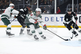 Wild Kings Hockey