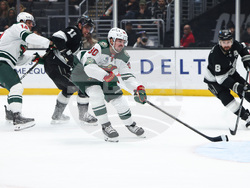 Wild Kings Hockey