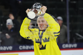 World Juniors Sweden Czechia Hockey