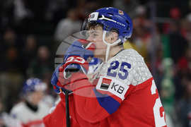 World Juniors Sweden Czechia Hockey