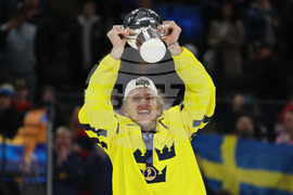 World Juniors Sweden Czechia Hockey