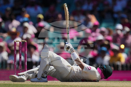 Australia England Cricket