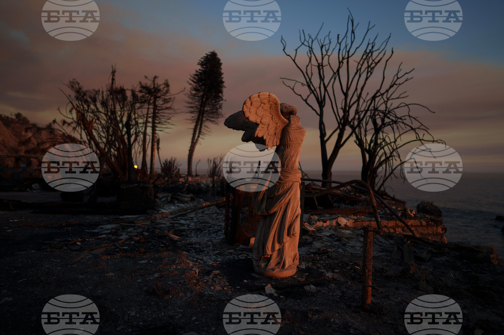 Los Angeles Wildfires By The Numbers