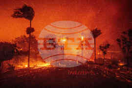 Los Angeles Wildfires By The Numbers