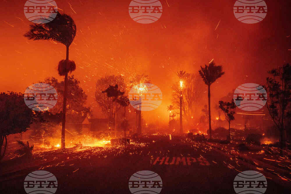 Los Angeles Wildfires By The Numbers