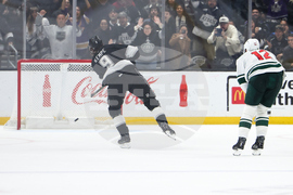 Wild Kings Hockey