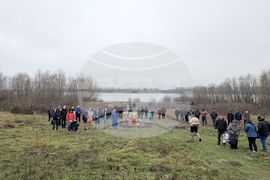 Свищов - Йордановден