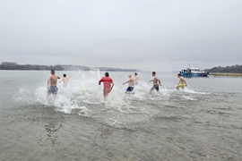 Свищов - Йордановден