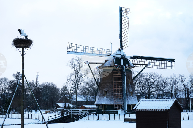 Netherlands Extreme Weather