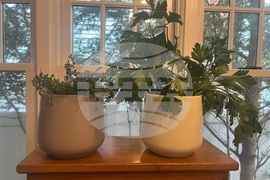 Gardening-Indoor Herbs