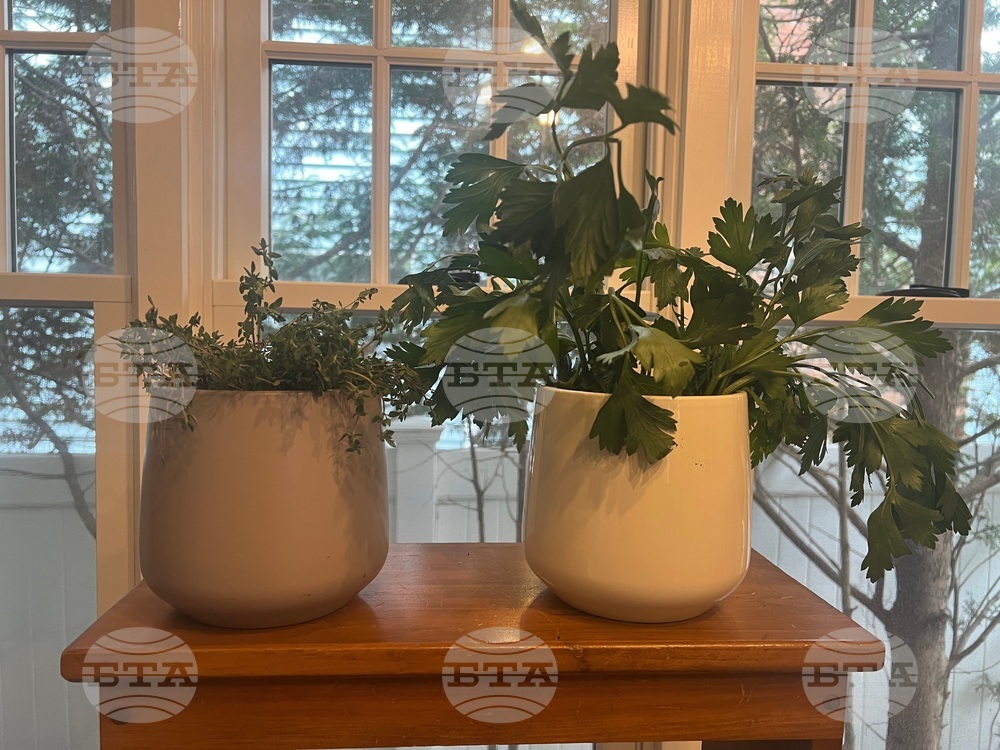 Gardening-Indoor Herbs