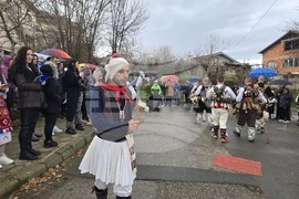 Петрич - ритуал по хвърляне на Богоявленския кръст