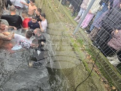 Петрич - ритуал по хвърляне на Богоявленския кръст