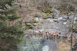 Рилски манастир - Богоявление - ритуал