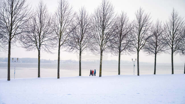 Проблемите с жп транспорта в Германия продължават; очаква се още обилен снеговалеж