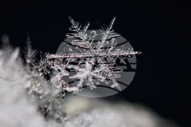 Germany Extreme Weather