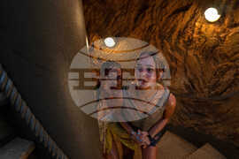 Film Review - Primate