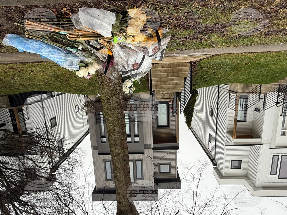 Dentist-Wife-Killings