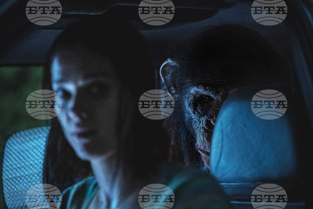 Film Review - Primate