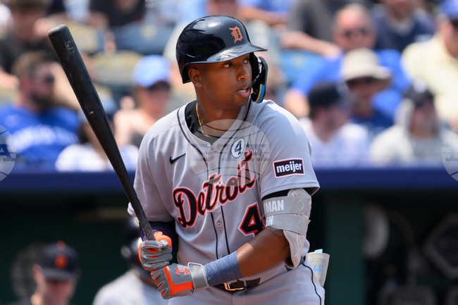 Rays-Tigers Trade Baseball