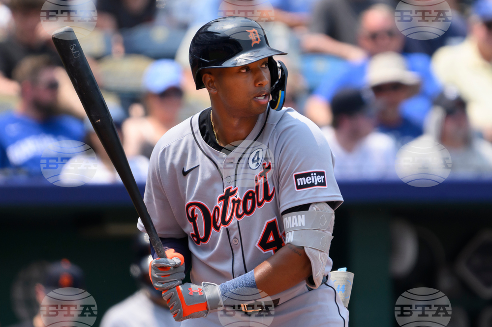 Rays-Tigers Trade Baseball