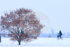 Germany Extreme Weather