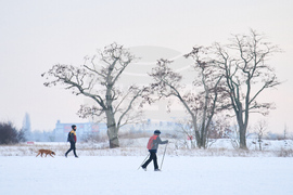 Germany Extreme Weather
