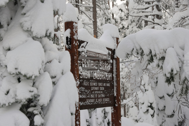 California Snow Survey