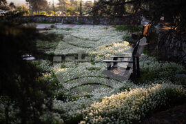 APTOPIX California Wildfires Anniversary