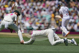 Australia England Cricket