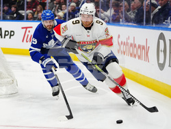 Panthers Maple Leafs Hockey