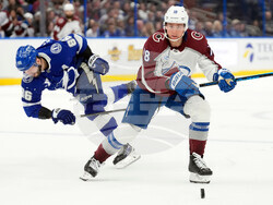 Avalanche Lightning Hockey