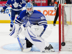 Panthers Maple Leafs Hockey