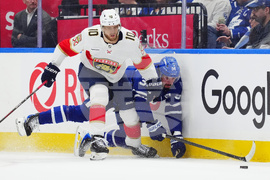 Panthers Maple Leafs Hockey