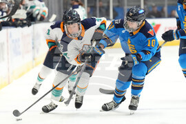 Toronto New York Hockey