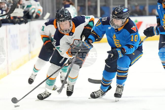 Toronto New York Hockey