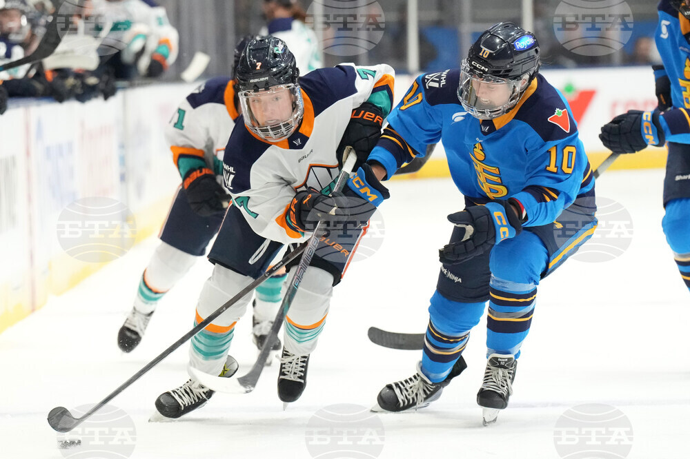 Toronto New York Hockey