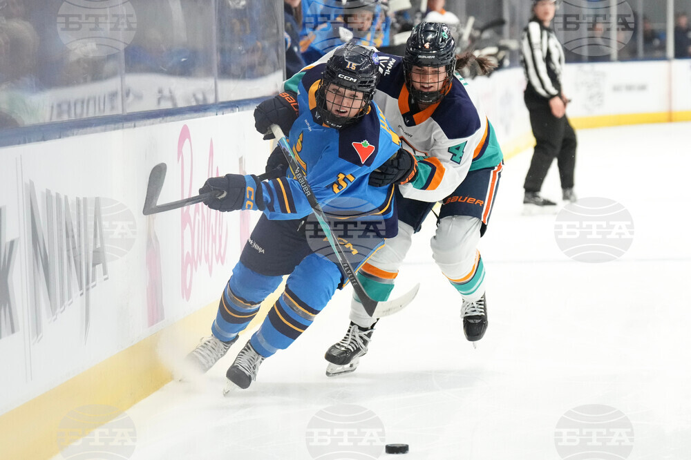 Toronto New York Hockey