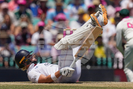 Australia England Cricket