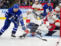 Panthers Maple Leafs Hockey