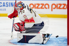 Panthers Maple Leafs Hockey