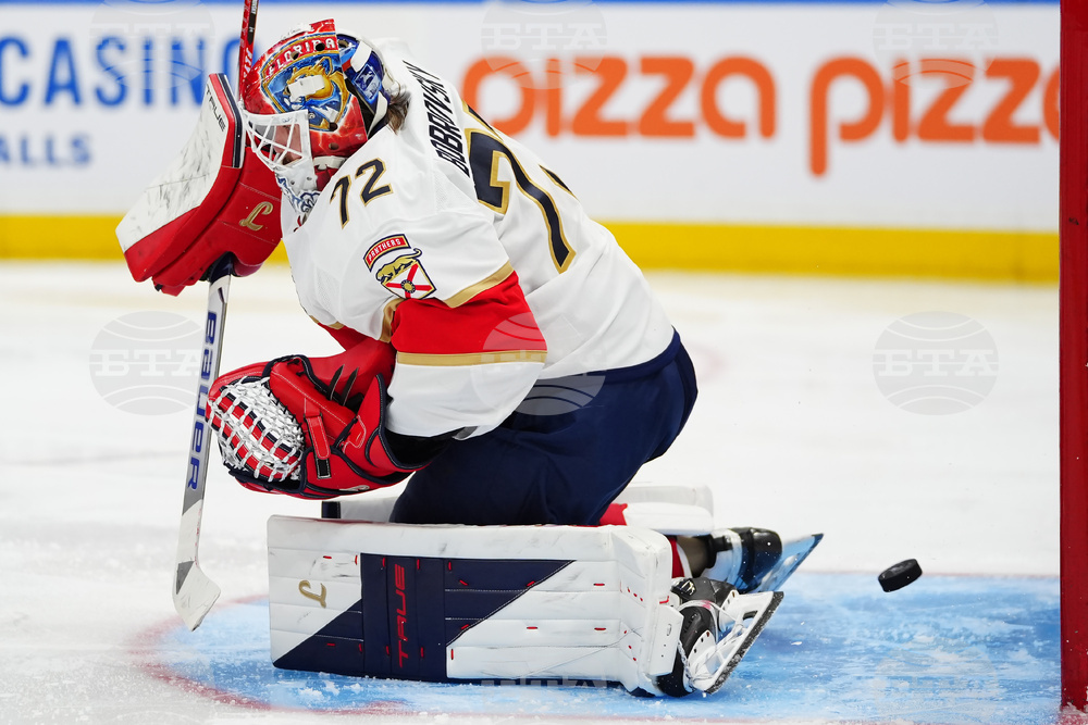 Panthers Maple Leafs Hockey