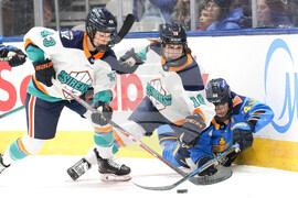 PWHL Toronto New York Hockey