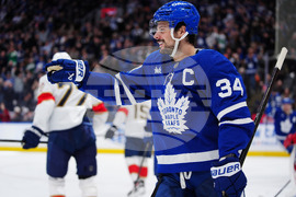 Panthers Maple Leafs Hockey