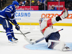 Panthers Maple Leafs Hockey