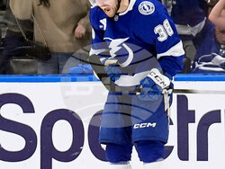 Avalanche Lightning Hockey