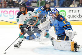 Toronto New York Hockey