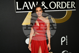 "Law & Order" 25th Anniversary Celebration