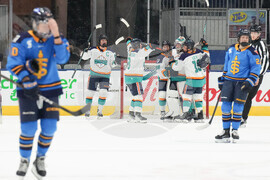 Toronto New York Hockey