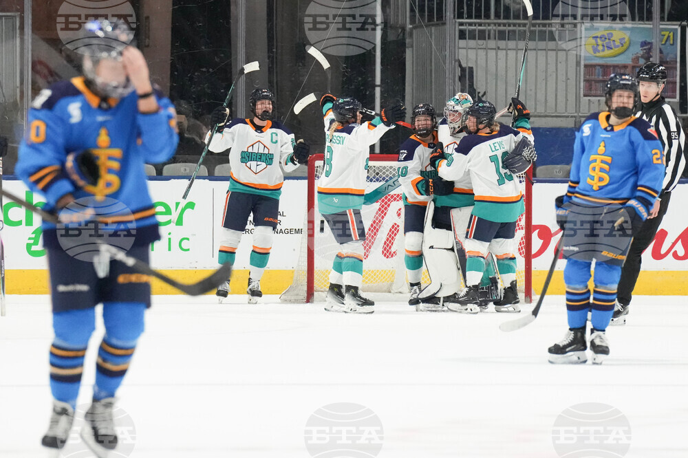 Toronto New York Hockey